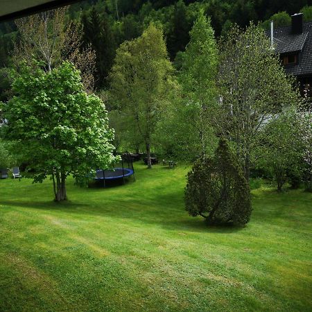 B1 Albmatte-Fewo Sauna, Hallenbad Aussenbecken Massagen Nebenan Menzenschwand-Hinterdorf Exterior foto