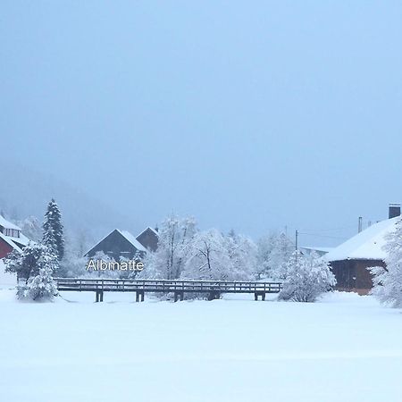 B1 Albmatte-Fewo Sauna, Hallenbad Aussenbecken Massagen Nebenan Menzenschwand-Hinterdorf Exterior foto