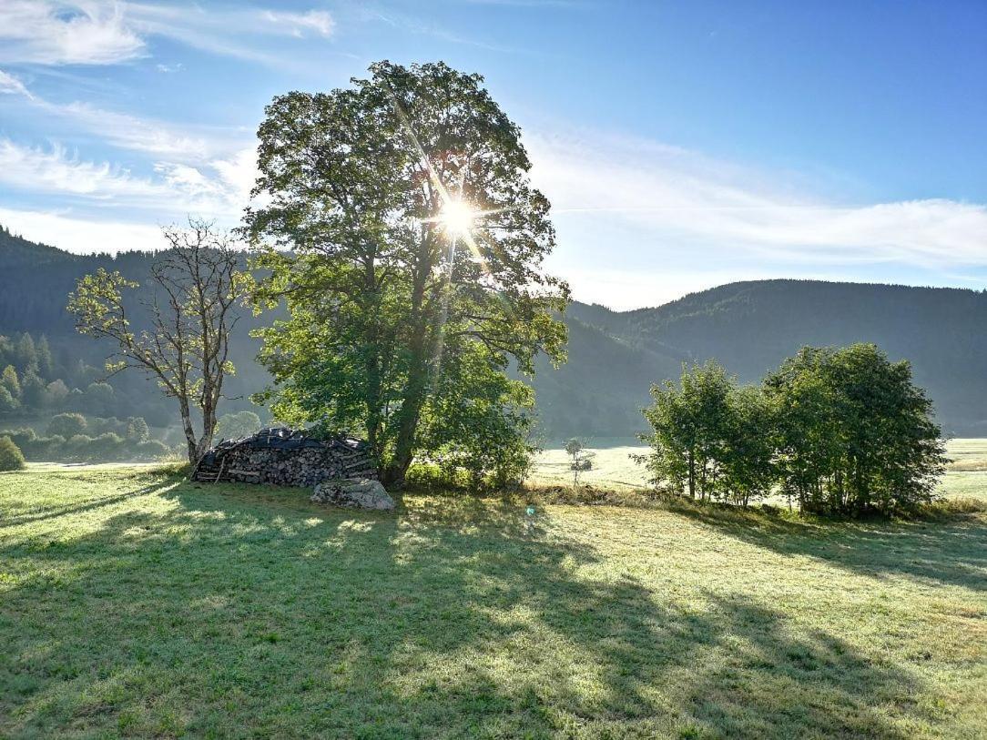 B1 Albmatte-Fewo Sauna, Hallenbad Aussenbecken Massagen Nebenan Menzenschwand-Hinterdorf Exterior foto