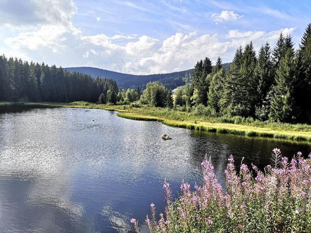 B1 Albmatte-Fewo Sauna, Hallenbad Aussenbecken Massagen Nebenan Menzenschwand-Hinterdorf Exterior foto