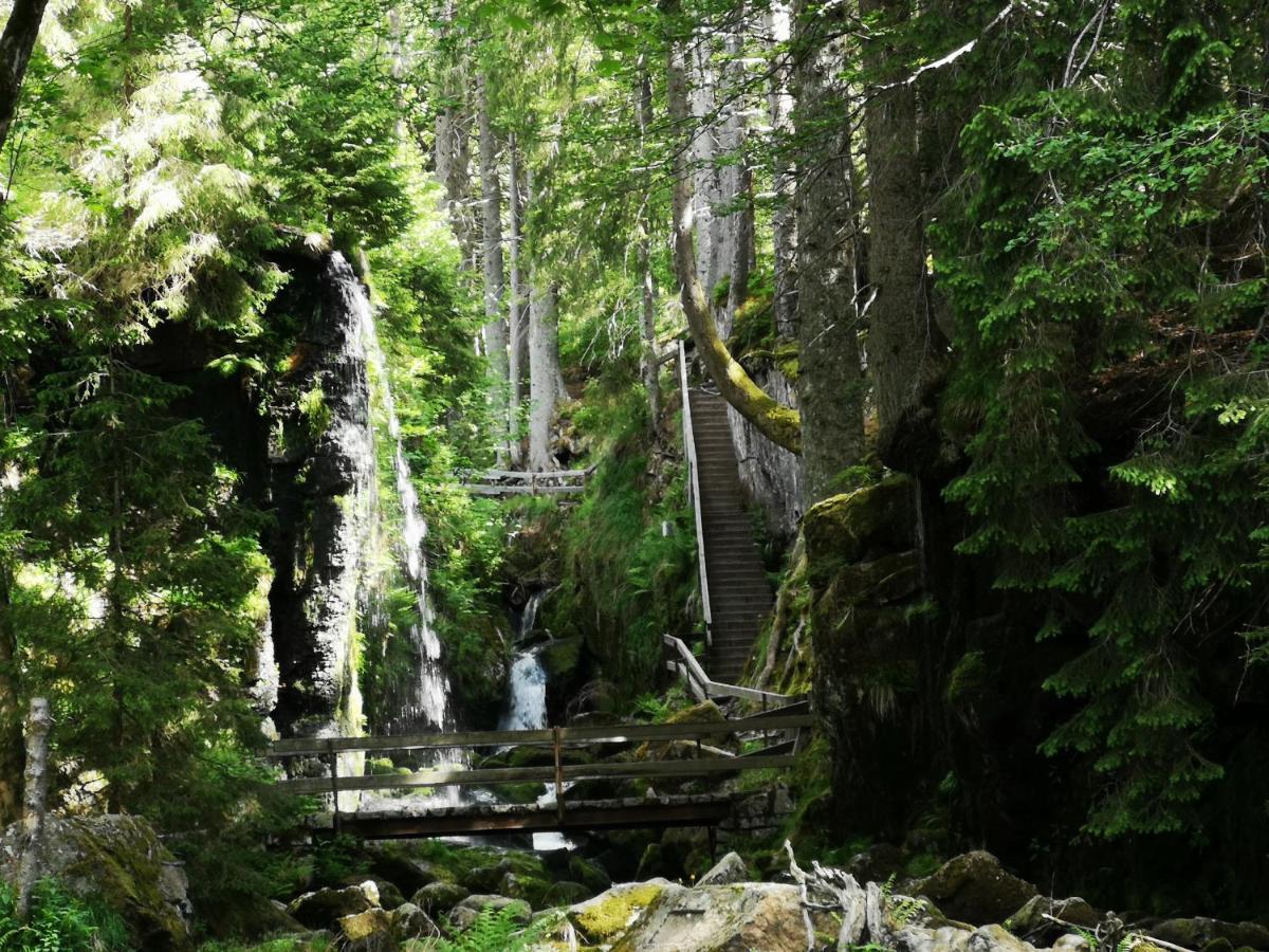 B1 Albmatte-Fewo Sauna, Hallenbad Aussenbecken Massagen Nebenan Menzenschwand-Hinterdorf Exterior foto
