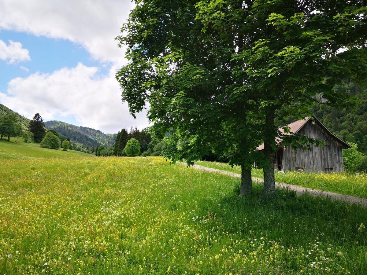 B1 Albmatte-Fewo Sauna, Hallenbad Aussenbecken Massagen Nebenan Menzenschwand-Hinterdorf Exterior foto
