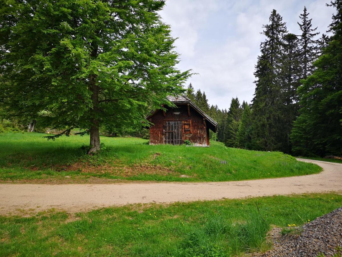 B1 Albmatte-Fewo Sauna, Hallenbad Aussenbecken Massagen Nebenan Menzenschwand-Hinterdorf Exterior foto
