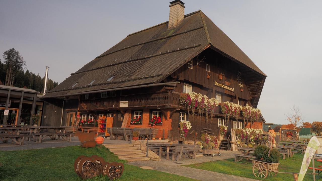 B1 Albmatte-Fewo Sauna, Hallenbad Aussenbecken Massagen Nebenan Menzenschwand-Hinterdorf Exterior foto