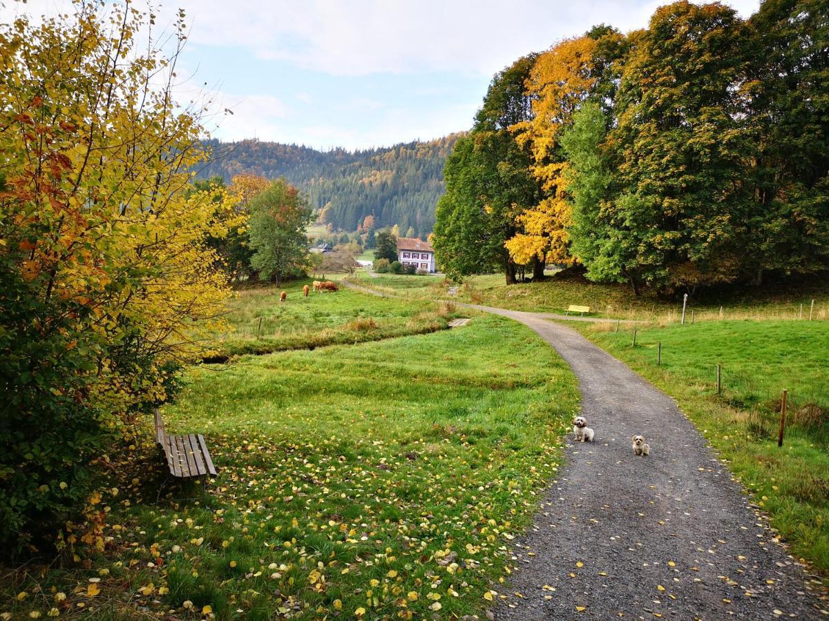 B1 Albmatte-Fewo Sauna, Hallenbad Aussenbecken Massagen Nebenan Menzenschwand-Hinterdorf Exterior foto