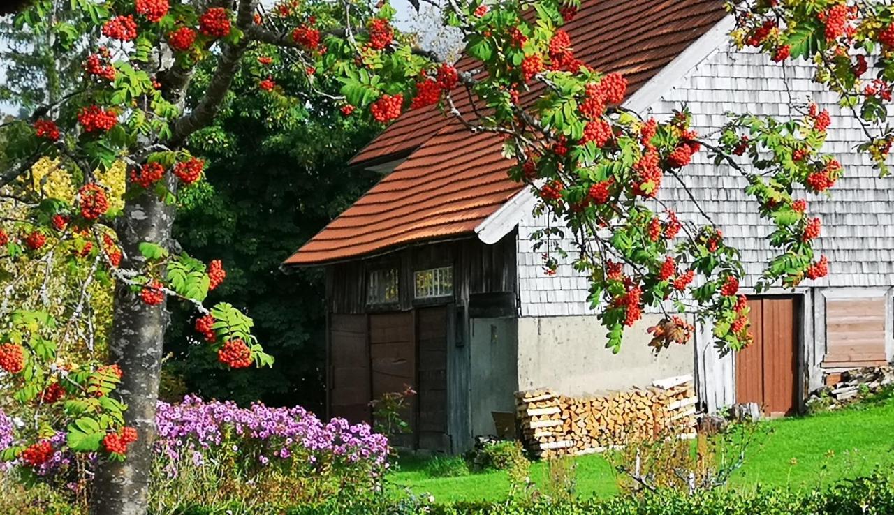 B1 Albmatte-Fewo Sauna, Hallenbad Aussenbecken Massagen Nebenan Menzenschwand-Hinterdorf Exterior foto