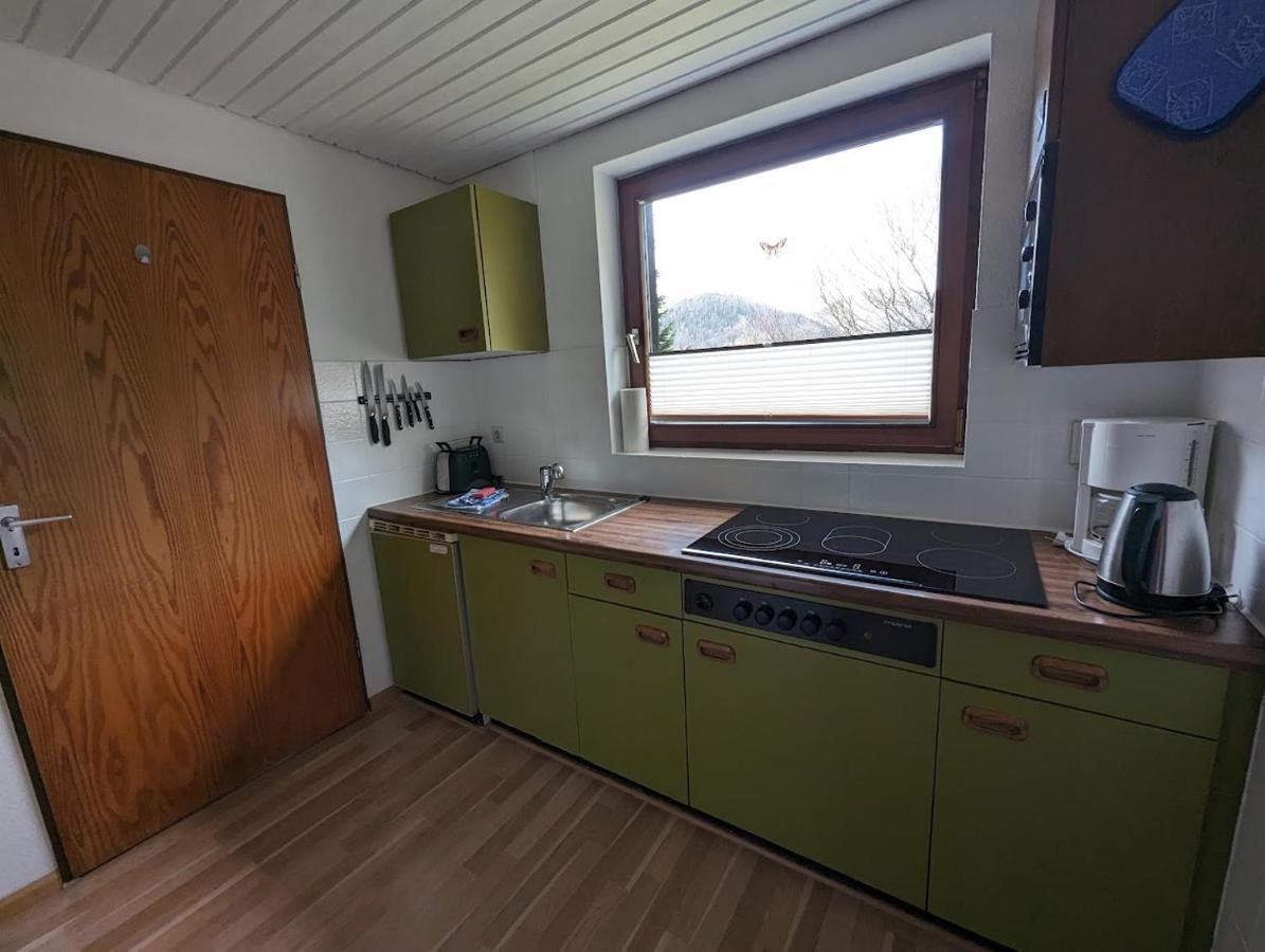 B1 Albmatte-Fewo Sauna, Hallenbad Aussenbecken Massagen Nebenan Menzenschwand-Hinterdorf Exterior foto
