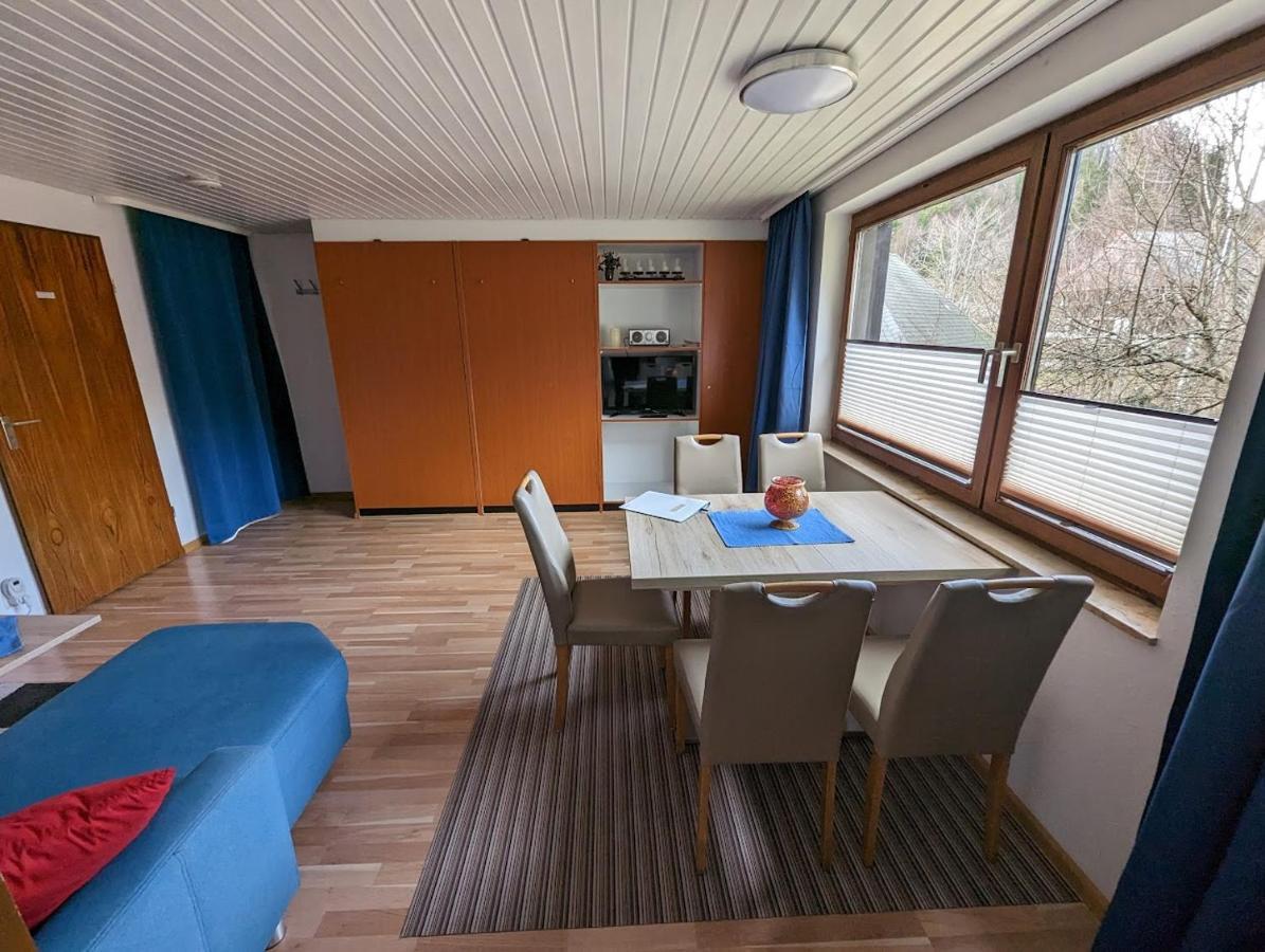 B1 Albmatte-Fewo Sauna, Hallenbad Aussenbecken Massagen Nebenan Menzenschwand-Hinterdorf Exterior foto