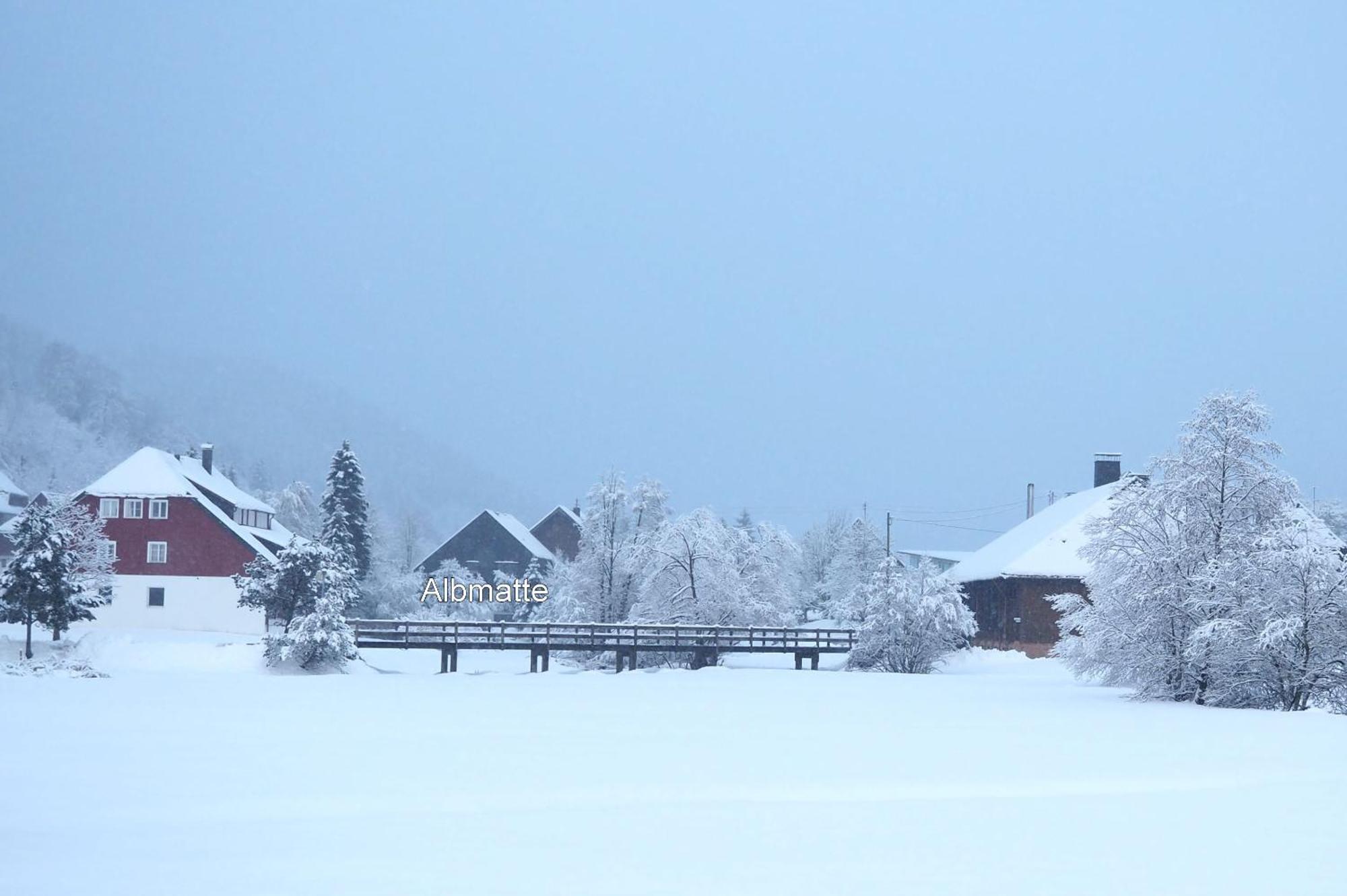 B1 Albmatte-Fewo Sauna, Hallenbad Aussenbecken Massagen Nebenan Menzenschwand-Hinterdorf Exterior foto