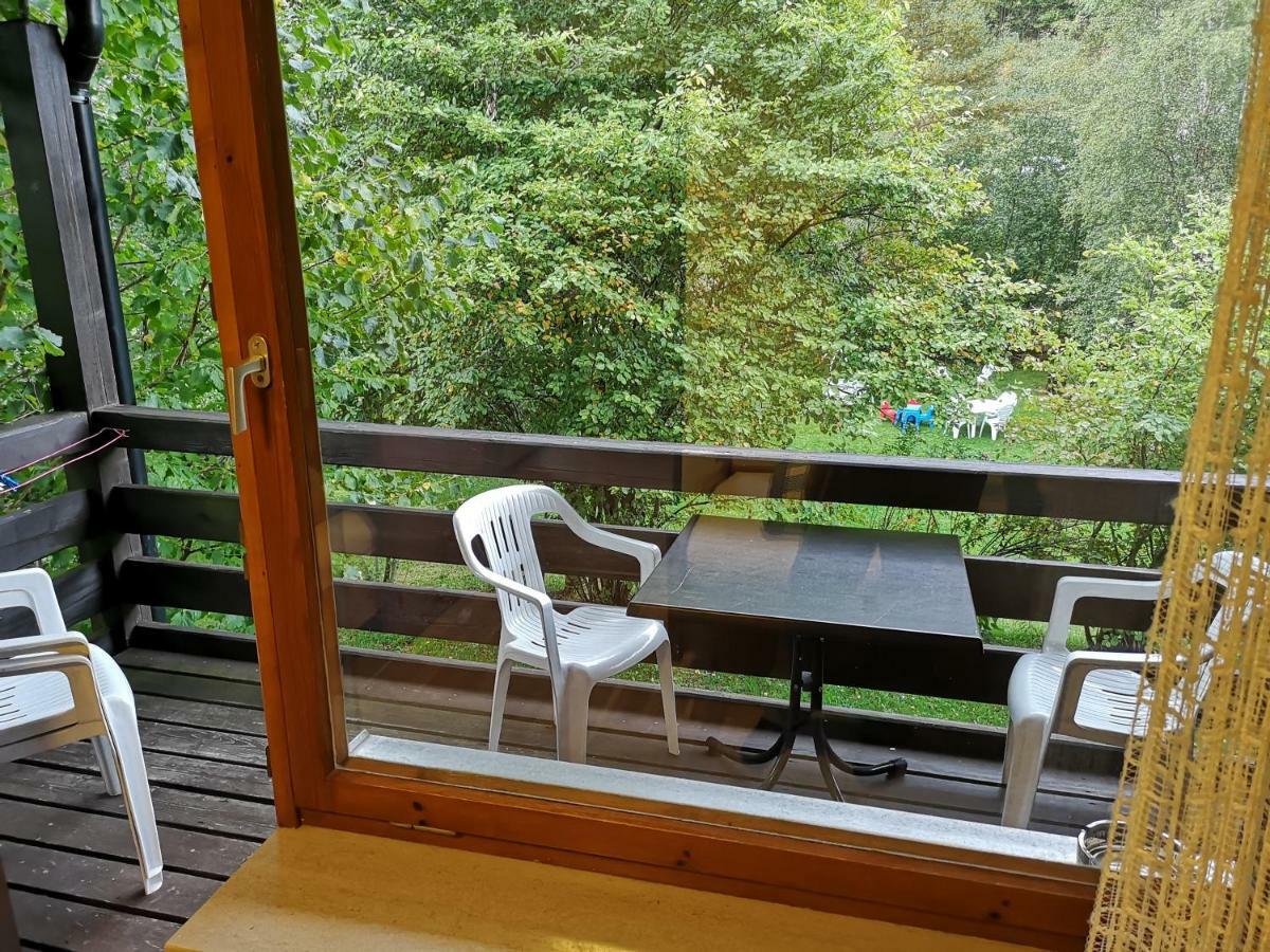 B1 Albmatte-Fewo Sauna, Hallenbad Aussenbecken Massagen Nebenan Menzenschwand-Hinterdorf Exterior foto