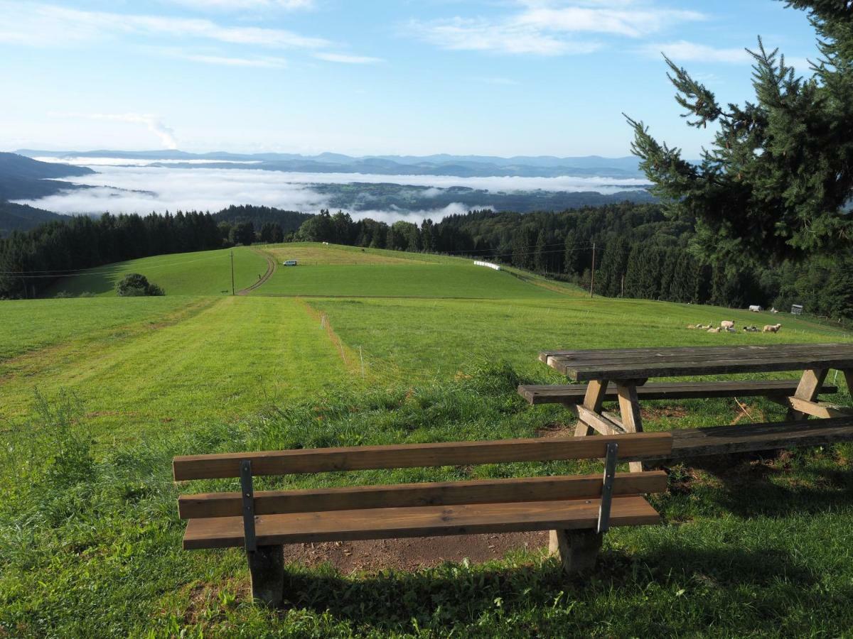 B1 Albmatte-Fewo Sauna, Hallenbad Aussenbecken Massagen Nebenan Menzenschwand-Hinterdorf Exterior foto
