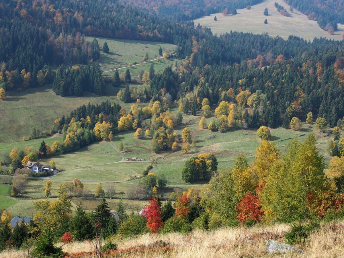 B1 Albmatte-Fewo Sauna, Hallenbad Aussenbecken Massagen Nebenan Menzenschwand-Hinterdorf Exterior foto