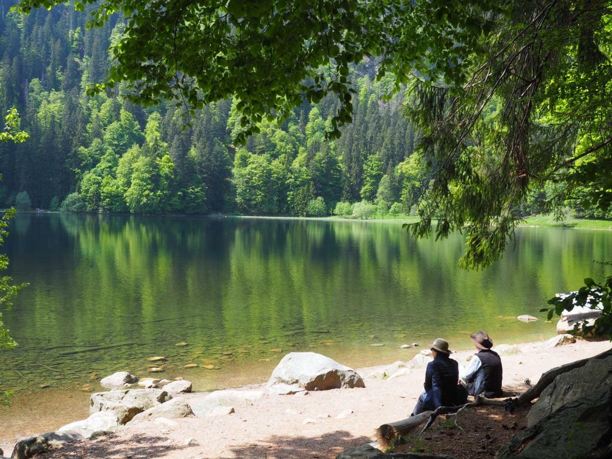 B1 Albmatte-Fewo Sauna, Hallenbad Aussenbecken Massagen Nebenan Menzenschwand-Hinterdorf Exterior foto