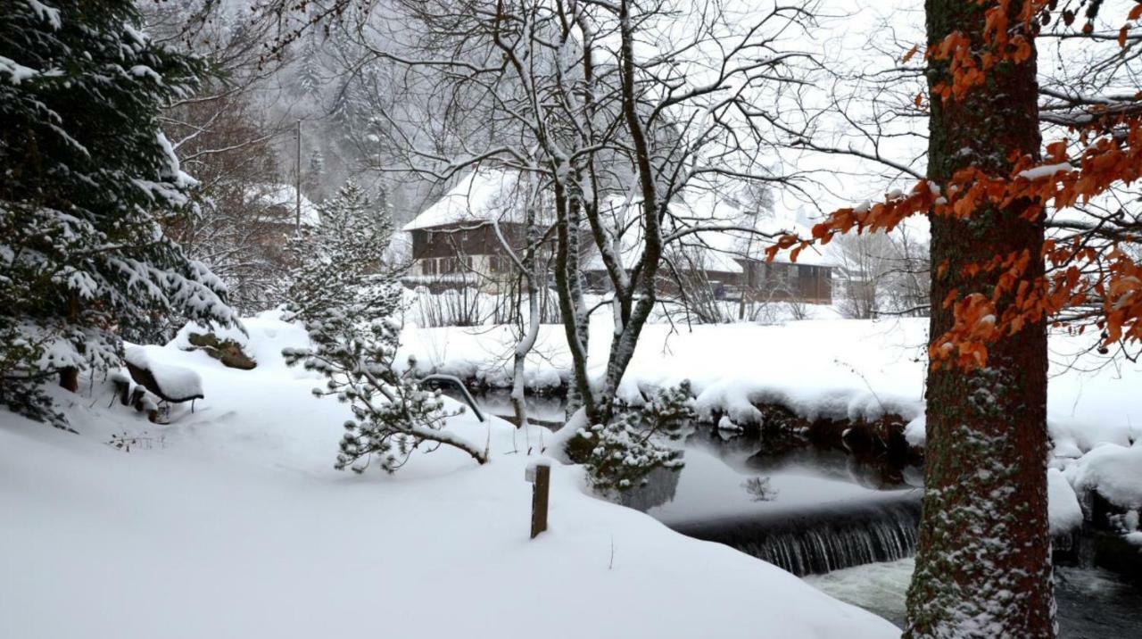 B1 Albmatte-Fewo Sauna, Hallenbad Aussenbecken Massagen Nebenan Menzenschwand-Hinterdorf Exterior foto